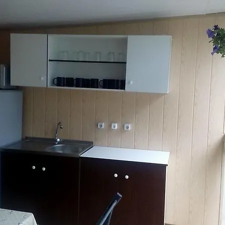 Casa De Vacanta Alex Gasthuis